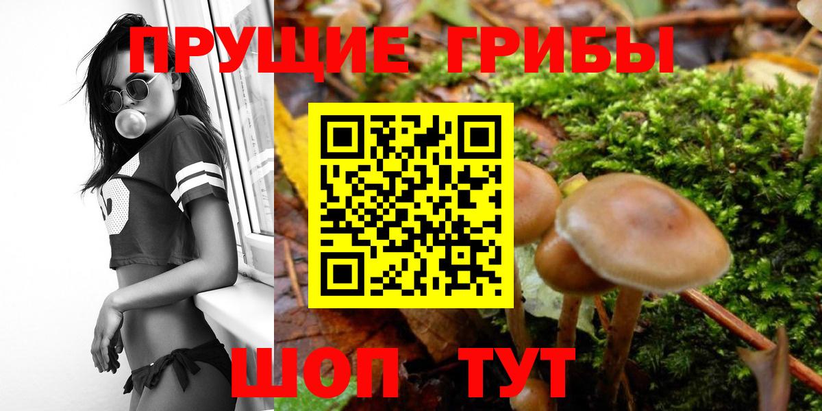 Псилоцибиновые грибы GOLDEN TEACHER Наро-Фоминск